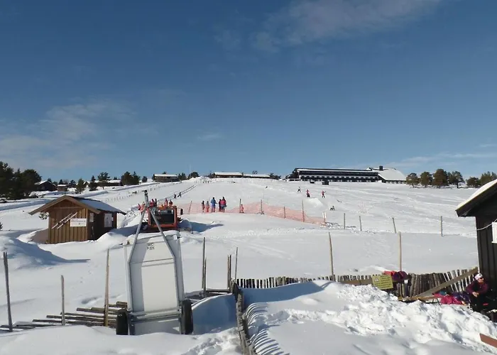 Amazing In With Kitchen