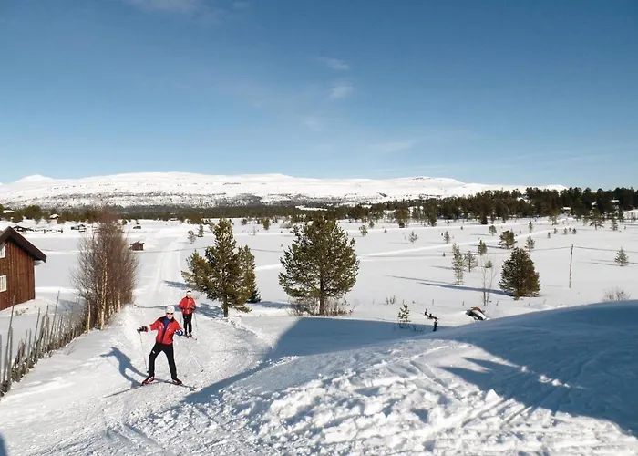 Amazing In With Kitchen Vakantiehuis